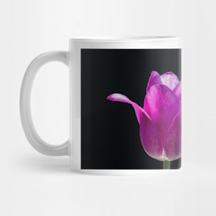 Tulip 7 Mug